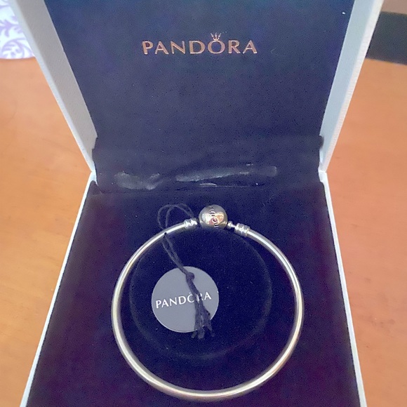 Pandora Limited Edition Bangle BNIB - Picture 2 of 4